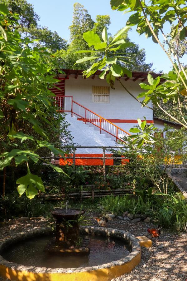 Finca Los Abuelos - La Planta Concepcion Buitenkant foto