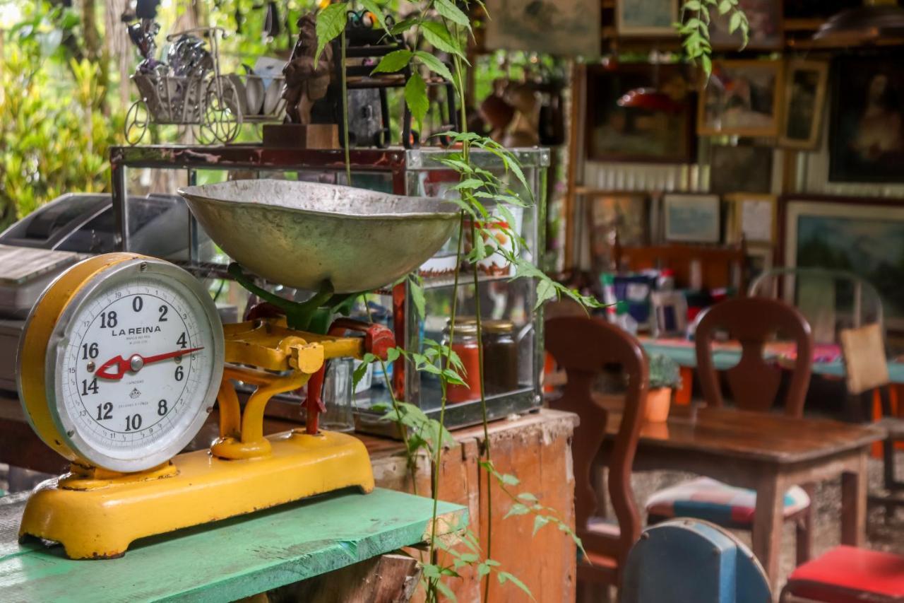 Finca Los Abuelos - La Planta Concepcion Buitenkant foto