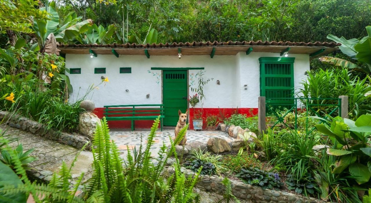 Finca Los Abuelos - La Planta Concepcion Buitenkant foto